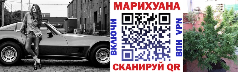 Шишки марихуана планчик где найти darknet клад Ковдор